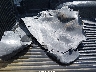 1FTCR10A0TP****** Destrozados 1996 Ford Ranger en Estado de Wisconsin