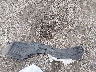 JA4AP3AU7GZ****** Destrozados 2016 Mitsubishi Outlander en Estado de Carolina del Sur