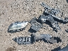 JHMZF1C47GS****** Repairable 2016 Honda CR-Z