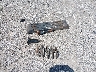 1J4FA49SX2P****** Wrecked 2002 Jeep Wrangler in Missouri State