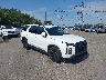 KM8R3DGEXSU****** Salvamento y Destrozados 2025 Hyundai Palisade en Bridgeport