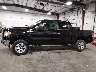 1FTFW1ET8DF****** Salvamento 2013 Ford F-150