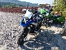 WB10M2306S6****** Used and Repairable 2025 BMW R 1300 GS in Rec Rides Online Exclusive