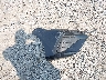 KMHLM4DG6SU****** Wrecked 2025 Hyundai Elantra in Pennsylvania State