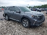 5FNYG2H42RB****** Salvamento y Destrozados 2024 Honda Pilot en Lexington