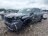 5FNYG2H42RB****** Usados y Reparables 2024 Honda Pilot en Lexington