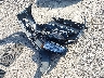 1VWLA7A37KC****** Wrecked 2019 Volkswagen Passat in Pennsylvania State