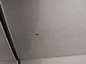 1FT8W3BN3PE****** Destrozados 2023 Ford F-350 en Estado de Pennsylvania