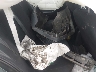 3VWLA7AJ8FM****** Destrozados 2015 Volkswagen Jetta en Baton Rouge