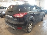 1FMCU0H95DU****** Salvamento y Destrozados 2013 Ford Escape en Estado de Michigan