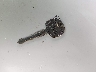 JALE5W16XE7****** Repairable 2014 Isuzu NQR in Specialty Division