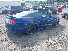 1FA6P8CF4F5****** Salvamento y Destrozados 2015 Ford Mustang en Estado de Pennsylvania