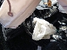 3VWC57BU6KM****** Salvage and Repairable 2019 Volkswagen Jetta in Utah State