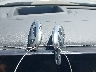 5NMP54GL1RH****** Salvage 2024 Hyundai Santa Fe in Texas State