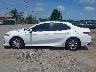 4T1C31AK3PU****** Repairable 2023 Toyota Camry in Virginia State