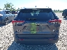 2T3P1RFV3KW****** Destrozados 2019 Toyota RAV4