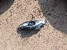 2C4RC1EG6HR****** Destrozados 2017 Chrysler Pacifica en Estado de Ohio