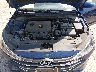 5NPD84LF6LH****** Reparables 2020 Hyundai Elantra en Southern New Jersey