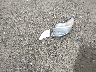 3C6TRVNG5EE****** Wrecked 2014 RAM Promaster 1500 in Massachusetts State