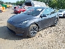 7SAYGAEE4RF****** Usados y Reparables 2024 Tesla Model Y en Port Murray