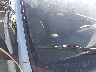 2T3BF4DV9CW****** Salvamento y Destrozados 2012 Toyota RAV4 en Denver East