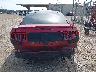 1ZVBP8AM3D5****** Usados 2013 Ford Mustang