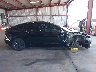 5YJ3E1EB4PF****** Repairable 2023 Tesla Model 3 in California State
