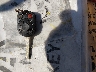 1FTNR1ZM7FK****** Salvamento 2015 Ford Transit-250 en Estado de Illinois