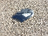 2FMPK3K89FB****** Wrecked 2015 Ford Edge in Texas State