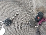 1NXBR32E35Z****** Salvage 2005 Toyota Corolla in Texas State
