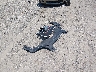 1C4PJMDX3LD****** Wrecked 2020 Jeep Cherokee in New Jersey State