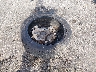 1GKS1BKCXGR****** Wrecked 2016 GMC Yukon in Mississippi State