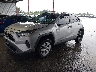 2T3H1RFV0KW****** Usados y Reparables 2019 Toyota RAV4 en Austin North