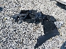 5J8TC1H65ML****** Wrecked 2021 Acura RDX in Tennessee State