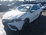 4T1G11AK6MU****** Used and Repairable 2021 Toyota Camry in Lexington