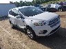 1FMCU0GD8KU****** Salvamento y Destrozados 2019 Ford Escape en Grenada