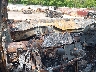 1N6AA1E59HN****** Salvage 2017 Nissan Titan in Longview