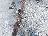 0000000NCX1****** Salvage 1998 Homemade Tl in Wilmington