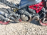 ZDM1RBTSXHB****** Wrecked 2017 Ducati Monster in Rec Rides Online Exclusive