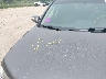 2HNYD2H38CH****** Salvage and Repairable 2012 Acura MDX in Wisconsin State