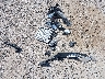 4S3BNAF65K3****** Wrecked 2019 Subaru Legacy in Montana State