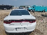 2C3CDXAT5MH****** Destrozados 2021 Dodge Charger Police Rwd