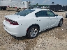 2C3CDXAT5MH****** Salvamento y Destrozados 2021 Dodge Charger Police Rwd en Estado de Carolina del Norte