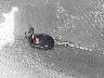 JN8AS5MT1DW****** Salvamento 2013 Nissan Rogue en Estado de Florida