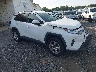 JTMP1RFV7LD****** Salvamento y Destrozados 2020 Toyota RAV4 en Greenville
