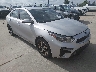 3KPF24AD8ME****** Salvage and Wrecked 2021 Kia Forte in Houston South