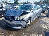 5NPE34AF4GH****** Usados y Reparables 2016 Hyundai Sonata en Charlotte