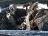 5XXGT4L32LG****** Wrecked 2020 Kia Optima in Little Rock