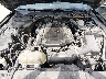1FA6P8TH3F5****** Repairable 2015 Ford Mustang in Kansas City