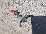 1FMCU0G74GU****** Destrozados 2016 Ford Escape en Estado de Nueva Jersey